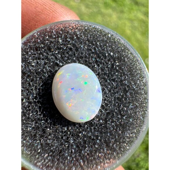 Australian Opal Cabochon - 0.90 carat in Display Box #197 - Picture 6 of 7